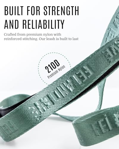 Fei & Eve Classic Dog Leash - 6FT, Dual Padded Handles, 360° Swivel Hook, Heavy Duty 210D Nylon - No-Pull Design with Traffic Control Handle - for Small/Medium/Large Dogs, Green - color: Glacier Green, size: 6FT