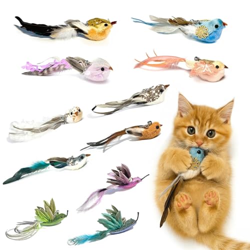 11PCS Realistic Bird Cat Toy Refills – Handmade Feather Cat Toys with Bell, Clip-on Cat Wand Attachments – Interactive Cat Toys for Indoor Cats, Refill Set for Wand Toy or Cute Home Décor - style: 11 PCS-A