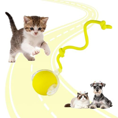 KumCinn Interactive Dog Ball for Small Medium Dogs, Automatic Self Moving Cat Toys Ball for Indoor Cats, 360° Rolling Electric Pet Ball, Fast Smart Motion Activated Toy (Yellow) - color: YELLOW