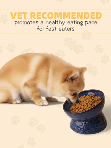 GDCZ Elevated Ceramic Puppy Bowl, 5 Oz Raised and Tilted Water Bowl, Pet Bowl for Small Dog, Fat Faced Cat, Kitten (Blue) - color: Blue