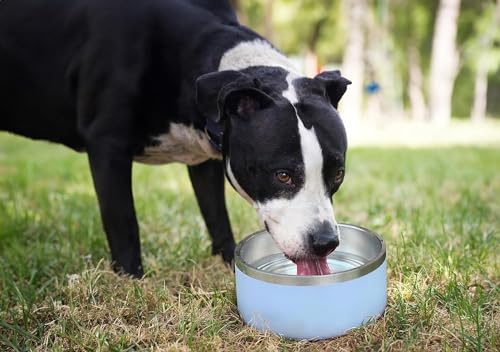 ALPINE Set of 2 Stainless Steel Dog Bowls, Non Slip, Metal Pet Bowl for Food and Water, Double Walled Insulated, Rustproof, Dishwasher Safe (32 oz, Navy) - color: Navy, size: 32 oz
