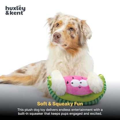 Huxley & Kent Funny Dog Toy w/Squeaker – Power Plush Squeaky Dog Toys for Small, Medium & Large Dogs – Soft Stuffed Animal for Indoor Play & Fetch - Fetchies® Walter Melon, Small - size: Small, style: Walter Melon