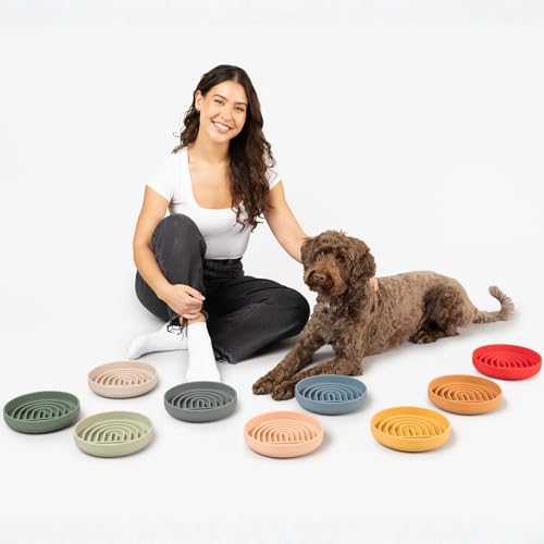 Should We Go? Slow Feeder for Dogs & Cats, The Slowdown Bowl Silicone Slow Eating, Modern Lick Mat Design, Reduces Gulping, Fits 2 Cups, 7.5” Across x 1.5” Tall, Mealtime Challenge, Medium-Sand - color: Sand - Rainbow Design, size: Medium (7.5” Across x 1