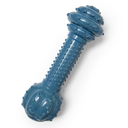 Nylabone Love Our Oceans Textured Barbell Power Chew Toy for Dogs, Recycled & Sustainable Chew Bones for Dogs, Dog Toys Made in USA, Bacon Flavor, Medium Dog Toys - Up to 35 lbs, 1 Count - color: Textured Barbell, size: Medium