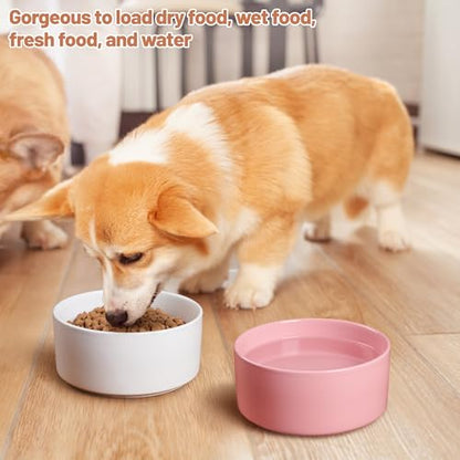 Dog Bowls, Non Slip Ceramic Dog Food and Water Bowl with Silicone Base, Heavy Pet Feeding Bowl for Puppies, Small and Medium Dogs (White+Pink, 6 Inches) - color: White+Pink, size: 6 Inches
