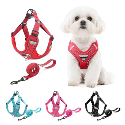 Dog Harness and Leash Set, Adjustable Triangle, Reflective Adjustable Puppy Vest, No Pull Soft Mesh Harness for Small, Medium Dogs, Cats (Red, S) - color: Red, size: S