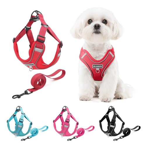 Dog Harness and Leash Set, Adjustable Triangle, Reflective Adjustable Puppy Vest, No Pull Soft Mesh Harness for Small, Medium Dogs, Cats (Red, L) - color: Red, size: L