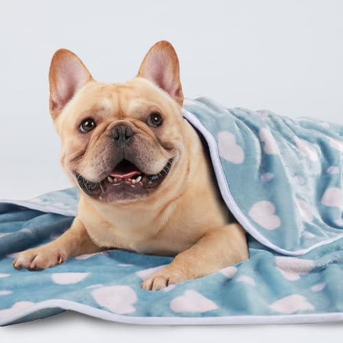 1 Pack 3 Blankets Super Soft Cute Dot Pattern Pet Blanket Flannel Throw for Dog Puppy Cat Purple/Pink/Cyan Small - color: Purple/Pink/Cyan, size: 23x16 inch (Pack of 3)
