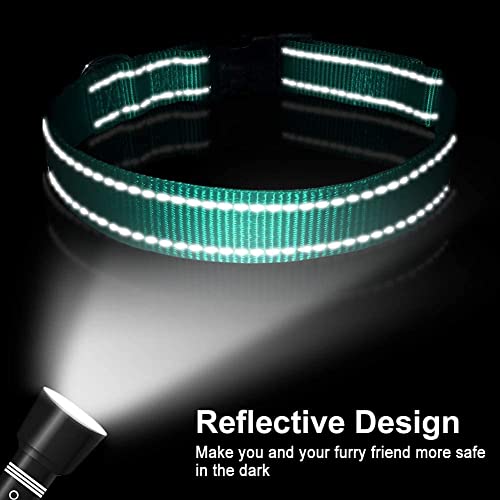 Reflective Dog Collar, Sturdy Nylon Collars for Puppy and Extra Small Girl and Boy Dogs, Adjustable Dog Collar with Quick Release Buckle,Turquoise,5/8" Width - color: Turquoise, size: X-Small Plus (Pack of 1)