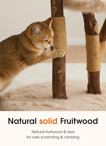 Letkind Modern Cat Tree Tower for Large Indoor Cats, Perches-Natural Solid Wood Cat Tower with Sisal Scratching Post, Perches, Hammock & PlayBalls, Aesthetic Boho Cat Furniture - size: 46" Wood Cat tree