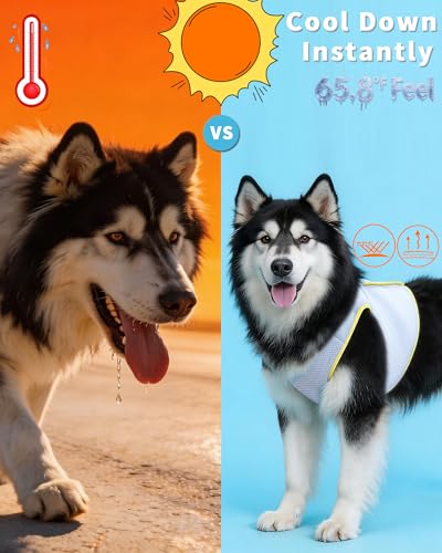 Dog Cooling Vest with Instant Chill-Heat Reflective Mesh Evaporative Dog Cooling Shirt,Adjustable Quick Release Cooling Harness for Dogs for Summer Walking,Hiking & Hot Weather (XXX-Large) - size: XXX-Large（Chest Girth 29.9-35.4‘’）