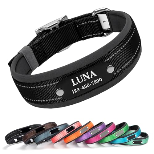 Cusotm Dog Collar with Laser Engraved Name and Phone on Black Metal Tag - Nylon Collar with Reflective Stripe, Neoprene Lining, Metal Buckle D-Ring (Black, M (15-19 Inches)) - color: Black, size: M (15-19 Inches)