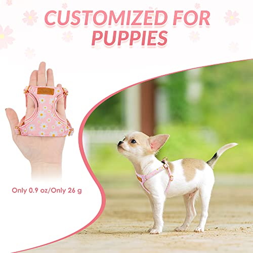 Lukovee Puppy Harness and Leash Set, No Pull Lightweight Soft Suede Adjustable Pet Harness Vest with Snap Buckle for Puppy Small and Medium Size Dog (Pink-XXS) - color: Pink Daisy, size: XX-Small ( 2.2-6lb )