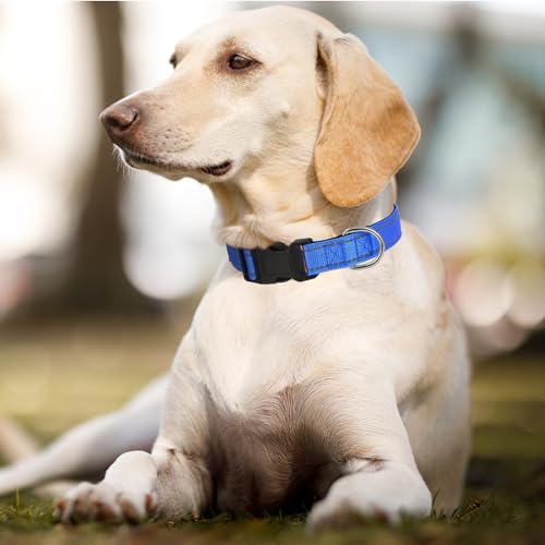 Dog Collars Adjustable for Puppy and Small Dogs,Heavy Duty Waterproof Dog Collar with Quick Release Buckle,Girl Boy Female Male Reflective Nylon Dog Collar with Soft Neoprene Padded,XS,Navy Blue - color: Navy Blue, size: X-Small