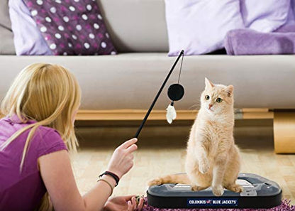 Pets First NHL Columbus Blue Jackets Hockey Field Cat Scratching Toy With Interactive Ball Bell in Tracks - 5-in-1 Scratcher - color: Columbus Blue Jackets