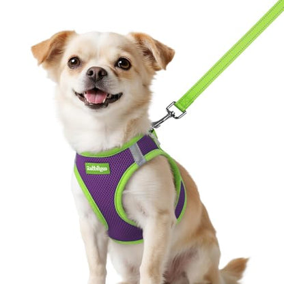 rabbitgoo Dog Harness Small Sized and Leash Set, Step-in Breathable Pet Harness, Soft Walking Reflective Puppy Vest for Small Dogs, Purple & Green, XXS - color: Purple & Green, size: XXS (Chest: 12.4 - 14.2")