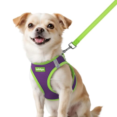 rabbitgoo Dog Harness Small Sized and Leash Set, Step-in Breathable Pet Harness, Soft Walking Reflective Puppy Vest for Small Dogs, Purple & Green, XXS - color: Purple & Green, size: XXS (Chest: 12.4 - 14.2")