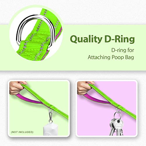 PHOEPET 5 Feet Dog Leash with Comfortable Padded Handle Easy Snap Clasp - Reflective Walking Lead for Large, Medium & Small Breed Dogs (Green + Purple Base) - color: Green + Purple Base