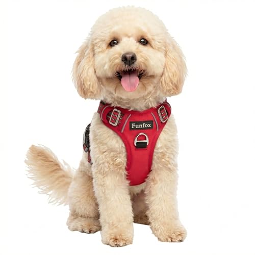 Funfox Dog Harness No Pull, Adjustable Pet Vest Harness, Super Soft Material with Vertical Handle Easy Control, Reflective Night Walking, 2 Leash Clips for Small Sized Dogs, Red, S - color: Red, size: Small