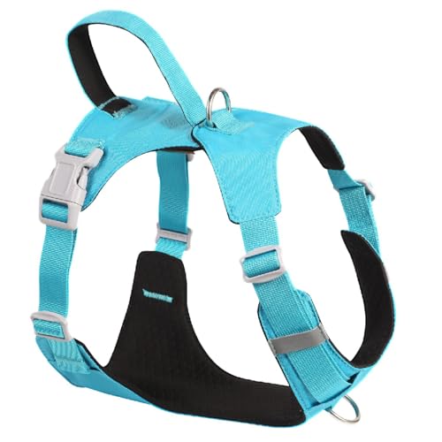 No Pull Dog Harness with Handle, Adjustable Soft Pet Vest Harness with Lightweight for Small Medium Large Sized Dog,Blue,S - color: Blue, size: S
