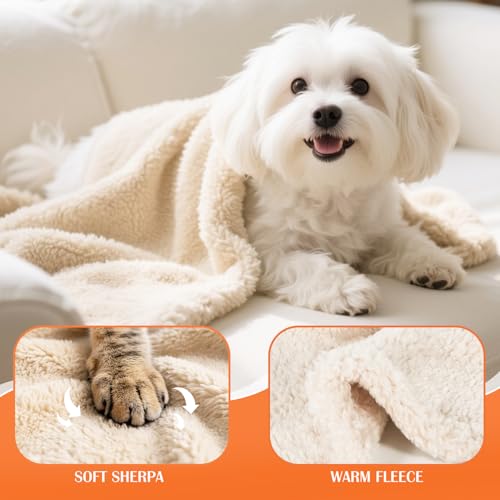 Cat Blanket for Small Dogs Puppy Cat Kitten, 16" x 24" Soft Warm Sherpa Fleece Cat Blanket Washable, Grey/Beige Pack 2