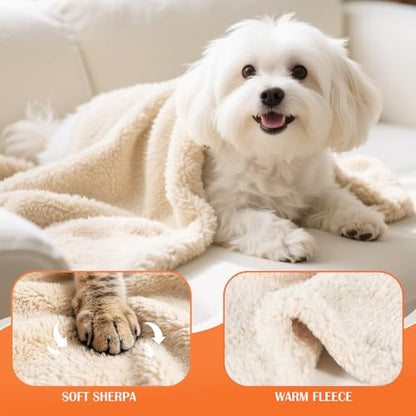 Cat Blanket for Small Dogs Puppy Cat Kitten, 16" x 24" Soft Warm Sherpa Fleece Cat Blanket Washable, Grey/Beige Pack 2