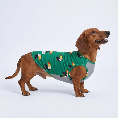 Fitwarm 2 Pack Toucan & Palm Tree UPF 50+ Sun UV Protection Dog Shirt, Lightweight Cooling Vest, Quick Dry Summer Clothes for Small Dogs Boy Girl, Pet Outfit, Green, Beige, Small - color: Toucan & Palm Tree, size: Small