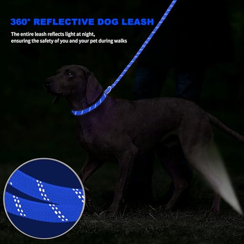 10FT Hands Free Dog Leash for Small Medium Large Dogs, Heavy Duty Reflective Dog Leash with Traffic Handle, Seat Belt Buckle & Poop Bag Holder (Navy Blue) - color: Navy Blue, size: 10FT
