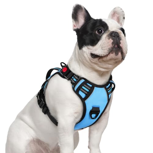 rabbitgoo Dog Harness Small Sized Dog, No Pull Pet Harness with Soft Padded Handle, Adjustable Reflective Vest with 3 Buckles, Easy Walking Harness with 2 Leash Clips, Light Blue, S - color: Light Blue, size: Small