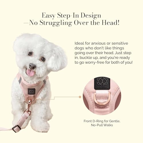 The DOGISTRY - SoHo Dog Harness - Blush Pink - Award-Winning Luxe No-Pull Design - Crafted for Style, Ease & Innovation - S (7-11lbs) - size: Small
