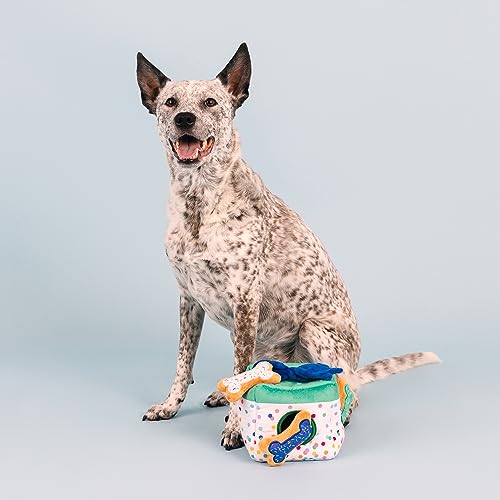 Fringe Studio Plush Dog Toy Set, Interactive Hide and Seek Play, All About The Gifts, Pet Shop Collection (289237) - color: Gifts