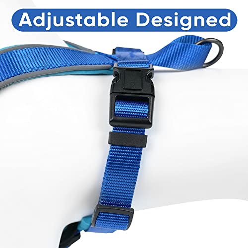 Pawtitas Reflective Padded Dog Harness for X-Small Dogs – Adjustable Puppy Step-in Vest | Fits Chest 14–18 in | No Pull Training Harness | XS | Blue - color: Blue, size: X-Small (Pack of 1)