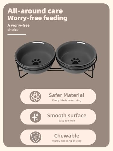 GDCZ Ceramics Raised Cat Bowls with Heighten Metal Stand,15 Ounces (Grey) - color: Grey