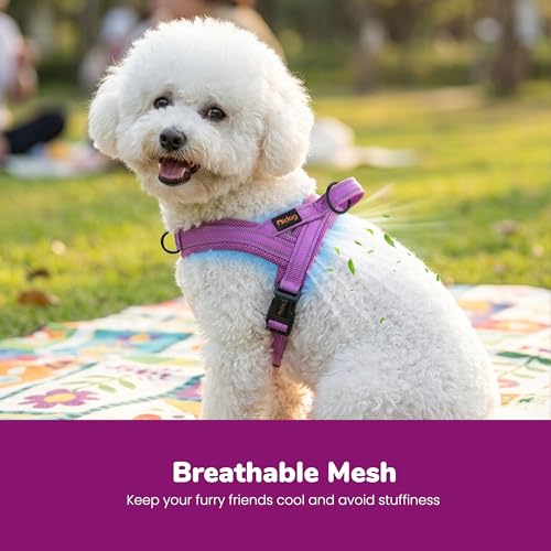 Didog No Pull Dog Harness with Soft Mesh Padded,Reflective & Quick Fit Light Weight Dog Strap Vest Harness,Easy for Walking Training (XS:Chest 15-18", Purple) - color: Purple, size: XS: Chest 15-18", Fit 9-18 lbs