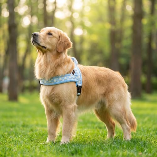 Didog No Pull Dog Harness with Soft Padded, Easy Walk Dog Harness with Quick Release Buckle, Adjustable & Reflective Pet Harness with Soft Padded for Medium Large Dogs (L:Chest 26-33", Blue) - color: Blue, size: L:Chest 26-33", Fit 40-65 lbs