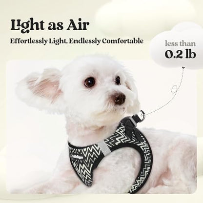 rabbitgoo Dog Harness Small Sized and Leash Set, Step in Soft Light Puppy Vest, Breathable Mesh Pet Harness, Reflective for Safe Easy Walking, Black Zigzag XXS - color: Black Zigzag, size: Xxs (chest: 12.4 - 14.2")