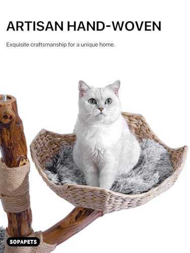 Sopapets Solid Wood Cat Tree for Large Cat, 41.3" Modern Cat Tower with Heavy Duty Real Branch & Hand-Woven Basket, Sisal Scratching Posts & Cozy Bed, Luxury Furniture for Indoor & Maine Coon, Gray - color: Gray