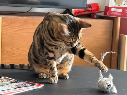 Albert & Mia HUNTIES — Cat Treat Puzzle Dispenser Toy, Cat Puzzle Feeder Toy for Slower Eating Training, Keeps Kitten Busy & Prevents Overeating, Small Interactive Food Toys for Cats (3 Wool Mice Set)