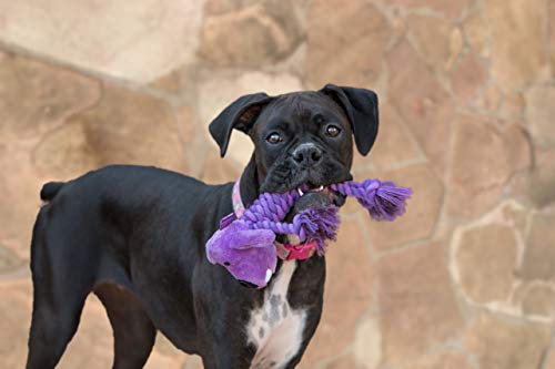 Multipet Rope Body Loofa 6" Dog Toy