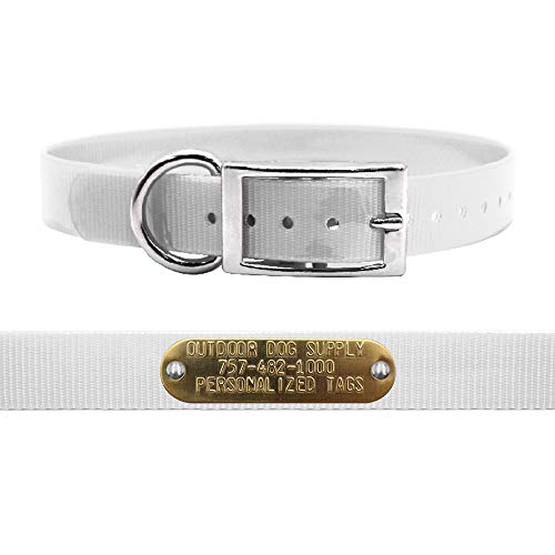 Outdoor Dog Supply 1" Heavy Duty Waterproof D-Ring Dog Collar for Medium & Large Dogs with Custom 3/4" Brass Nameplate (White, 18") - color: White, size: 18" Long