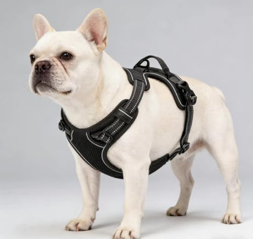 Black Adjustable Reflective No-Pull Dog Harness with 2 Leash Clips，Soft Padded Vest for Medium Dog, Easy to Put on and Take Off, Black M - color: Black, size: Medium
