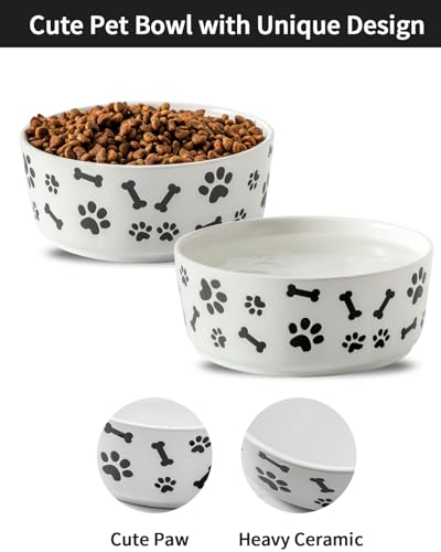 UBEE Ceramic Dog Bowl Set of 2, 5.5 inch Dog Food Bowl Dish with Bone Paw Pattern, Pet Food Water Dish Feeding Plates for Small Dogs, Puppy and Cat, White - color: White-dog paw, size: 5.5 inch x 2