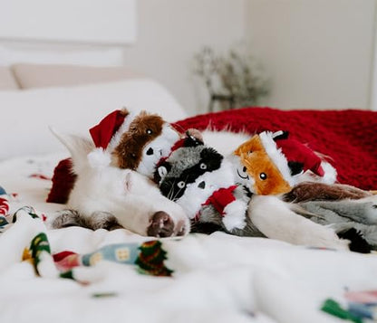 ZippyPaws Skinny Peltz - No Stuffing Dog Toys to Keep Them Busy, for Medium and Large Dogs, Squeaky Unstuffed Chew Toys for Pets, Soft Plush Variety Pack, Fox, Raccoon, & Squirrel - Holiday 3-Pack - style: Santa Fox, Raccoon, and Elf Squirrel - Large (3-p