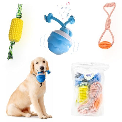 Interactive Dog Ball, 2026 Upgraded Motion Activated Automatic Rolling Ball with Remote Control, Self-Moving Pet Ball for Training Pets Toy, Free Chew Corn & Rope Toy Included