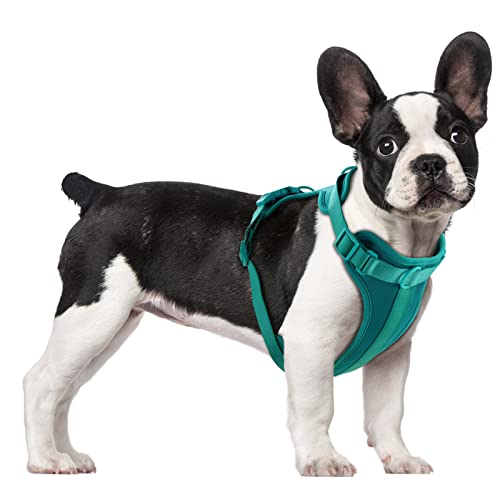 No Pull Lightweight Dog Harness: Adjustable Breathable Pet Vest Harness with Soft & Comfortable Cushion for Small Medium Large Dogs (Medium, Emerald Green) - color: Emerald Green, size: M:Neck=11.81"-18.11"/Chest=18.11"-27.95"