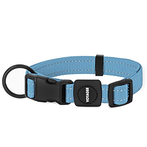 Best Pet Supplies Voyager Reflective Dog Leash or Collar with Neoprene Handle, for Small, Medium, and Large Breed Puppies, Cute and Heavy Duty for Walking, Running and Training - Baby Blue, M - color: Collar (Baby Blue), size: M (13" - 20.5")