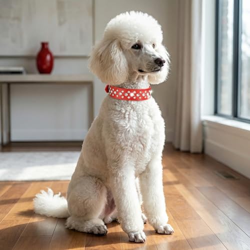 Rhinestone Dog Collar, Bling Rhinestone PU Leather Crystal Diamond Pet Dog Cat Puppy Collar Black S M L XL (XS, Pink) - color: Pink, size: XS