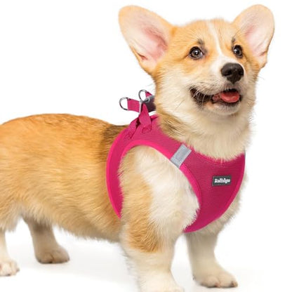 rabbitgoo Small Dog Harness, Step-in Soft Mesh Puppy Vest with Safety Buckle, Breathable Reflective Pet Harness for Small Medium Dogs, Rose Red L - color: Rose Red, size: L(chest:18.2"-20.5")