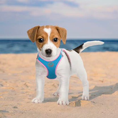 PHOEPET Step-in Dog Harness,Reflective Adjustable Dog Vest Harness, Soft Pet Walking Jacket with 2 Metal Leash Hooks for Dog and Cat(Baby Blue Base & Pink Straps,XS) - color: Baby Blue Base & Pink Straps, size: XS (Neck: 9-10”,Chest: 11.5-13”)