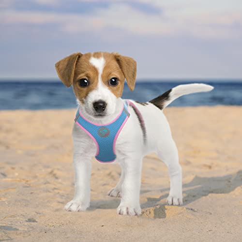 PHOEPET Step-in Dog Harness,Reflective Adjustable Dog Vest Harness, Soft Pet Walking Jacket with 2 Metal Leash Hooks for Dog and Cat(Baby Blue Base & Pink Straps,L) - color: Baby Blue Base & Pink Straps, size: L (Neck: 12-13.5”,Chest: 16-18”)